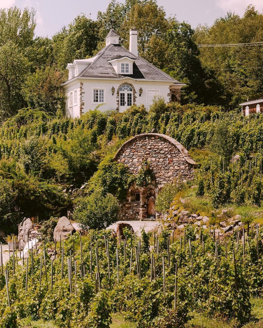 From Rustic Barns to City Chic: Montreal Wedding Venues for Every Style